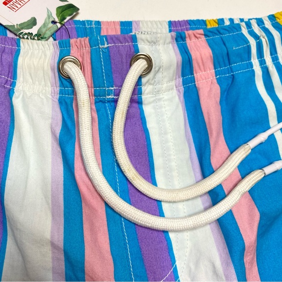 Tim Haan NWT Men’s Pastel Striped Boardies Board Shorts Swim Trunks Blue Medium - Picture 11 of 11